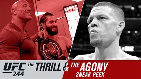 bovada ufc 244|UFC 244: The Thrill and the Agony .